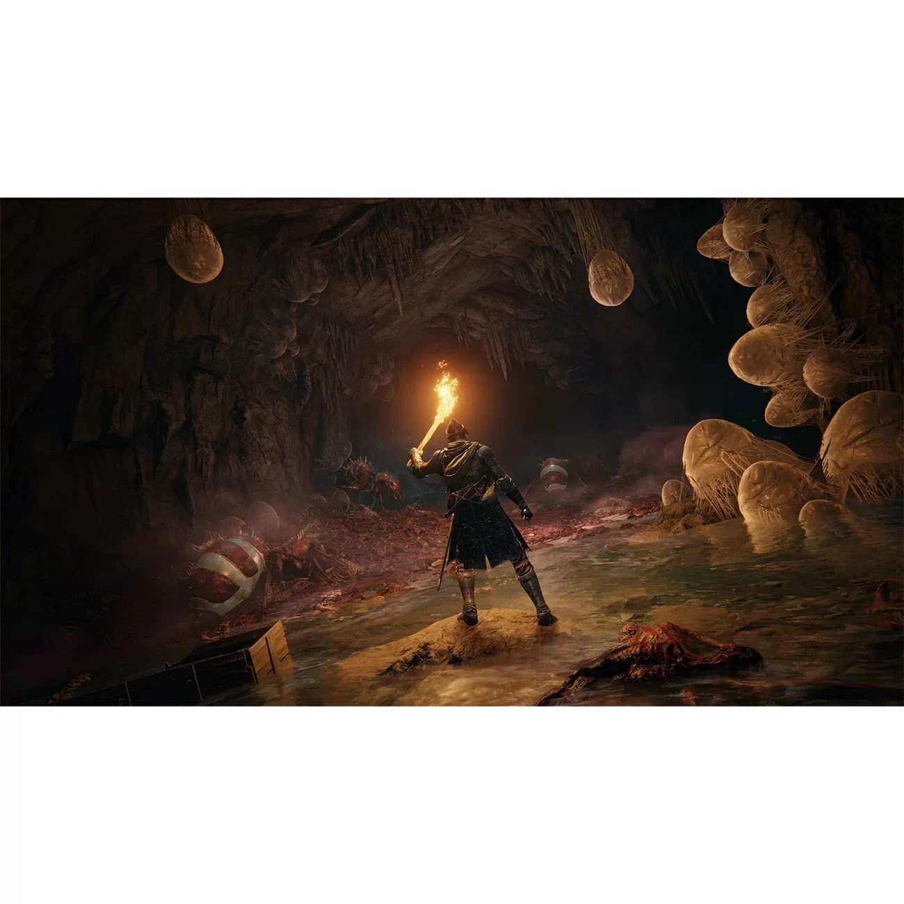 Игра: Elden Ring (PS5, русская версия) Игра: Elden Ring (PS5, русская версия)