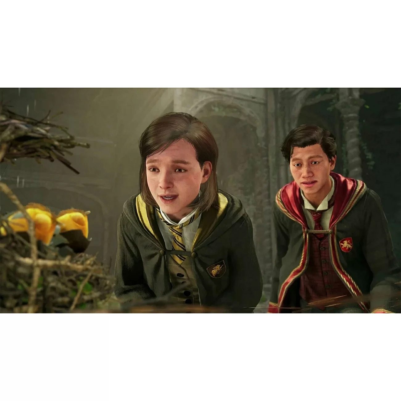 Игра: Hogwarts Legacy Standard Edition для PlayStation 5