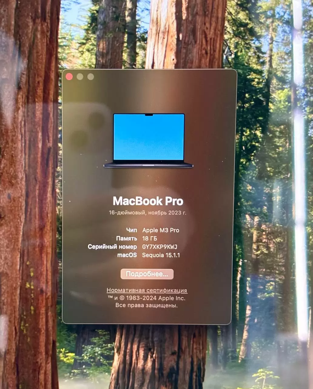 Ноутбук Apple MacBook Pro 16" 2023, (M3 Pro, RAM 18 ГБ, SSD 512 ГБ), Чёрный / 9KWJ*