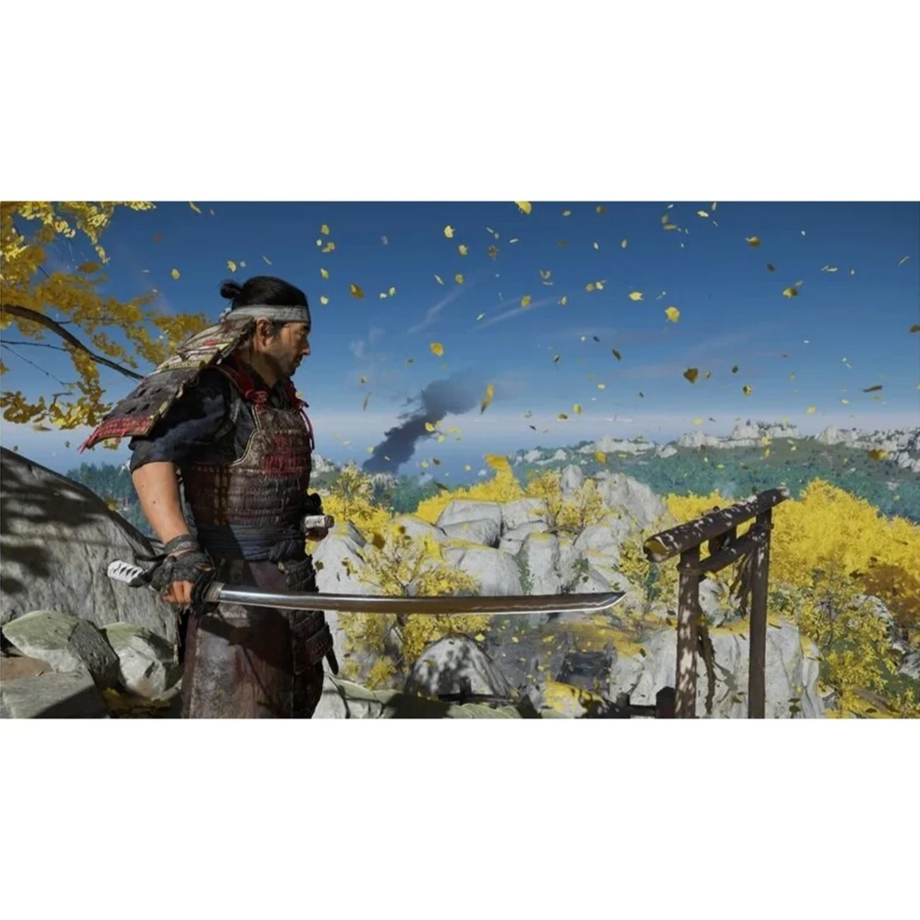 Игра: Ghost of Tsushima Director's Cut (Призрак Цусимы Режиссерская версия) для PS5 (диск, русская озвучка)