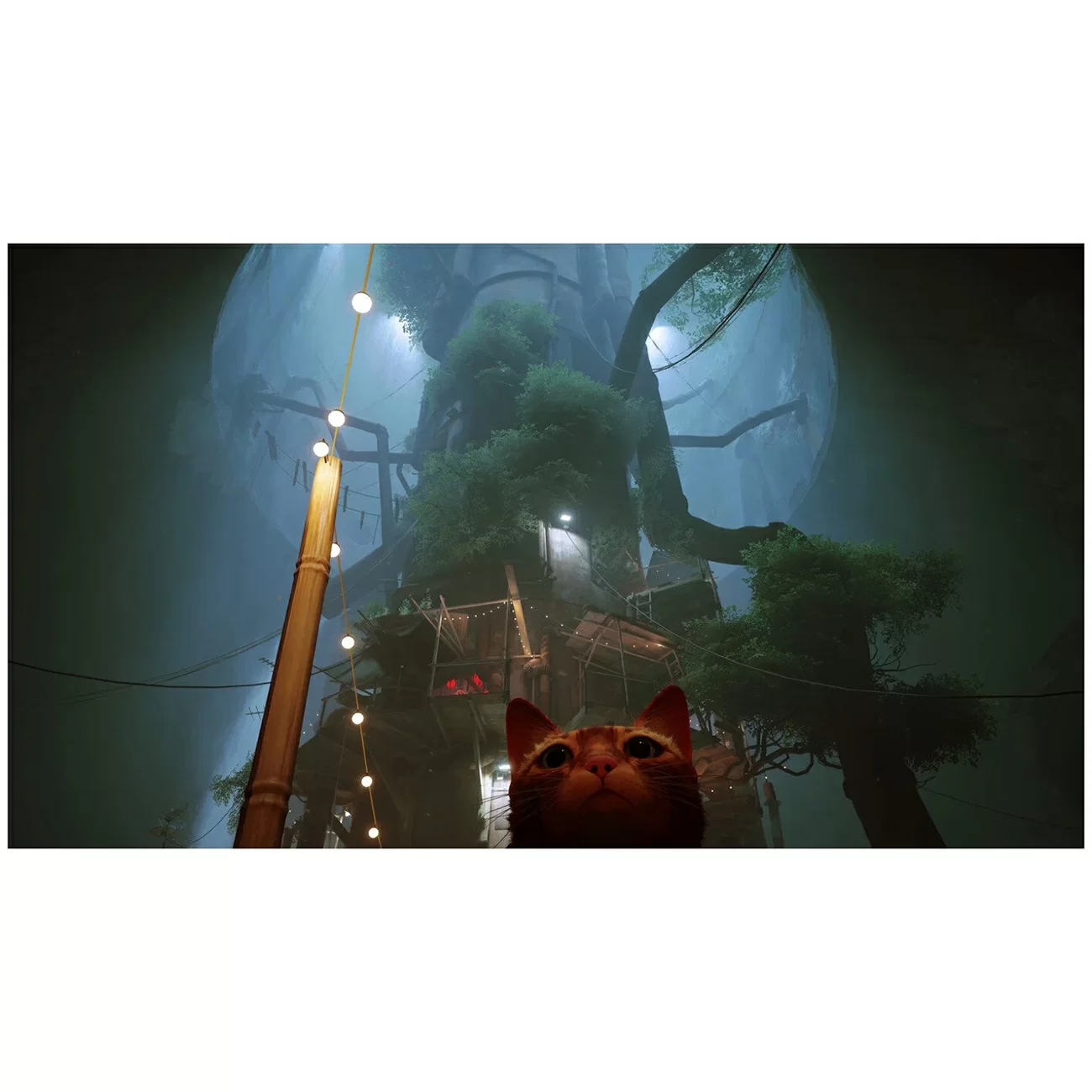 Игра: Stray для PS5 (диск, русские субтитры)