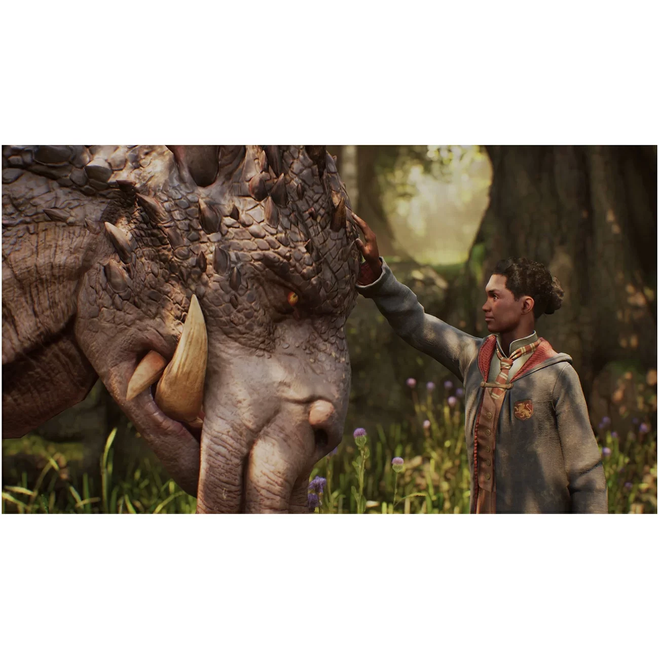 Игра: Hogwarts Legacy Standard Edition для PlayStation 5