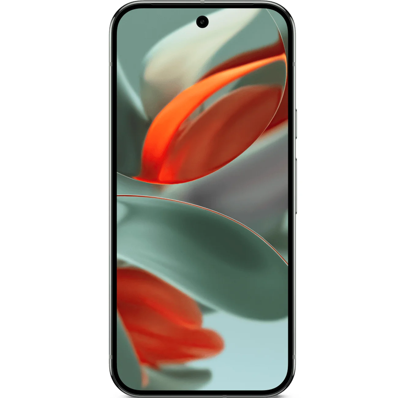 Смартфон Google Pixel 9 Pro, 16/1 ТБ, Hazel