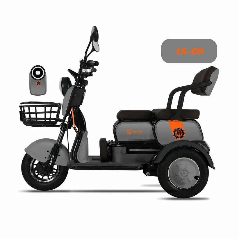 Электротрицикл LS CO A1